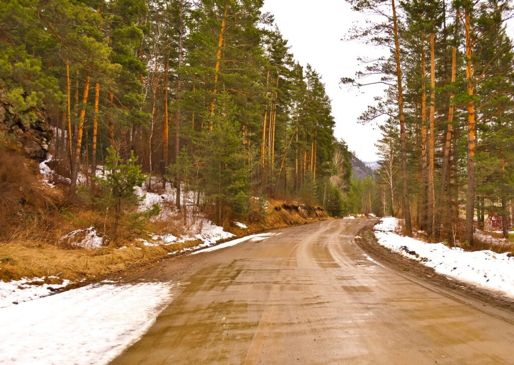 Blog Photo - wintery road in the forrest