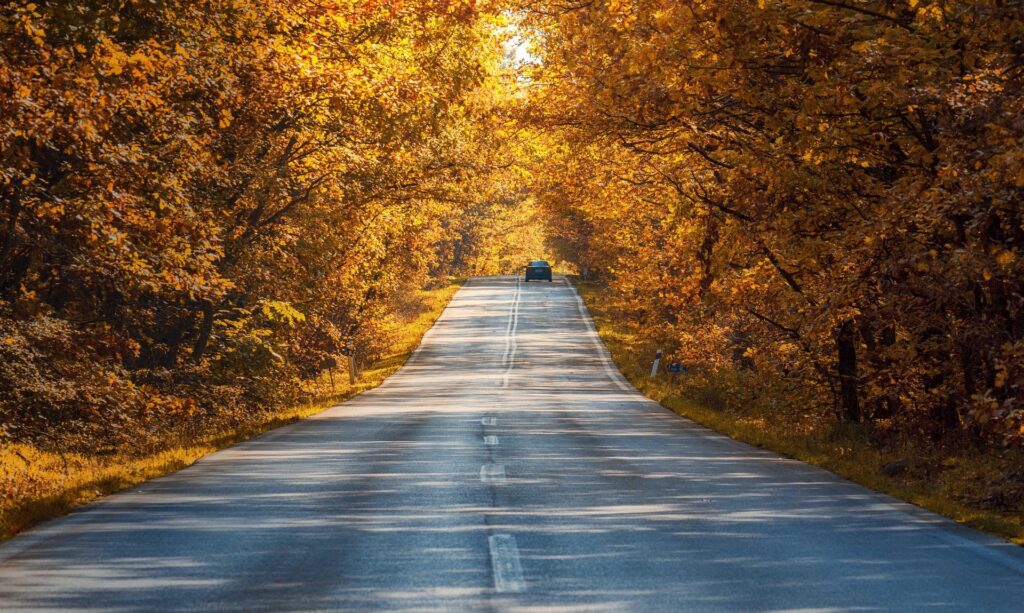 Car driving up autumn road